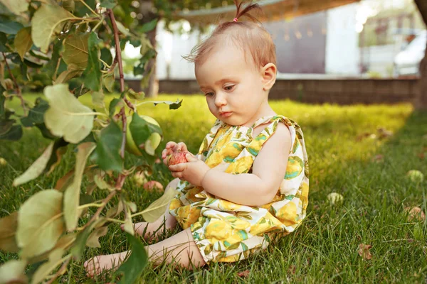 La niña feliz durante la recolección de manzanas en un jardín al aire libre — Foto de Stock