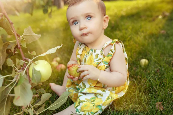 La niña feliz durante la recolección de manzanas en un jardín al aire libre — Foto de Stock