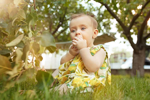 The happy young baby girl during picking apples in a garden outdoors — Stock Photo, Image