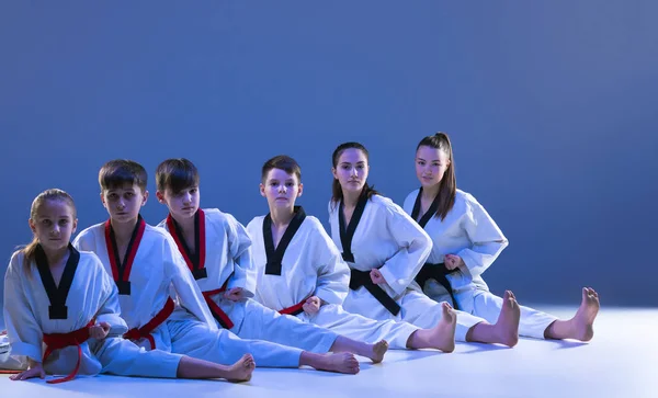 Het schot van de studio van groep jonge geitjes karate martial arts opleiding — Stockfoto