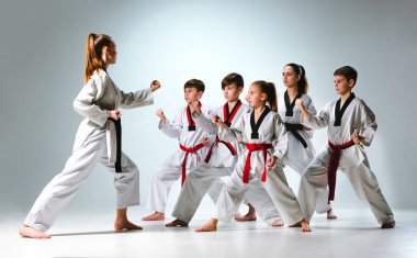 The studio shot of group of kids training karate martial arts on gray background clipart