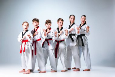 Karate dövüş sanatları eğitim çocuklar grup stüdyo çekim
