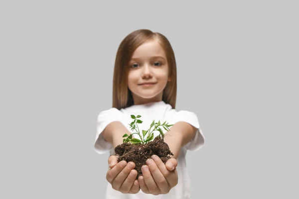 Kids hands with seedlings on gray studio background. Spring concept, nature and care. — Stock Photo, Image