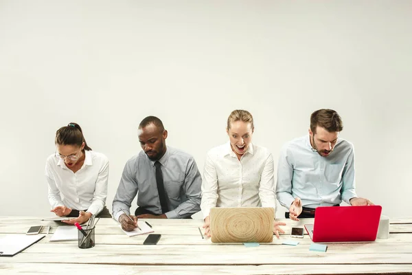 Hombres y mujeres jóvenes sentados en la oficina y trabajando en computadoras portátiles. Concepto de emociones — Foto de Stock