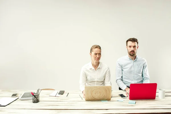 Young men and women sitting at office and working on laptops. Emotions concept — Stock Photo, Image