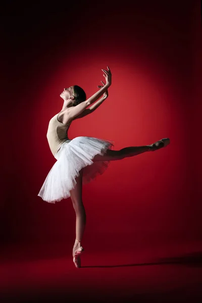 Ballerina. Young graceful female ballet dancer dancing at red studioskill. Beauty of classic ballet. — Stockfoto