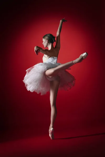 Bailarina. Jovem dançarina de balé graciosa dançando no vermelho studioskill. Beleza de balé clássico . — Fotografia de Stock