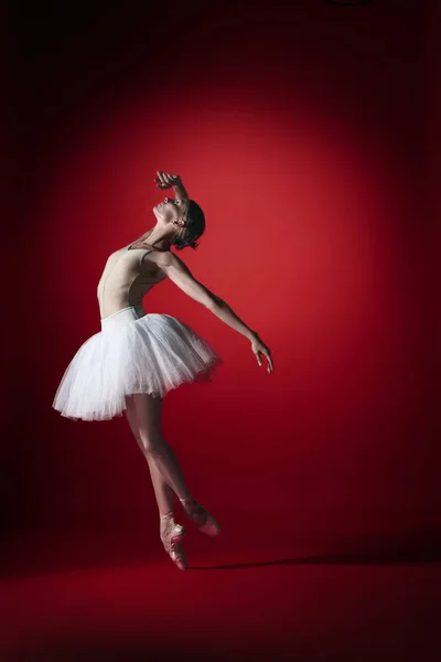 Baletka. Mladí půvabné ženské baletní tanečnice tančí na červené studioskill. Velkou výhodou klasického baletu. — Stock fotografie