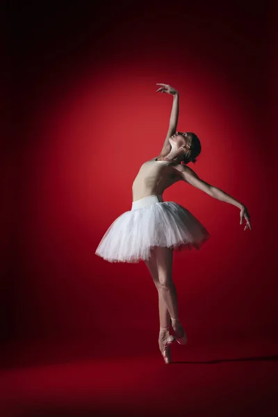 Jovem Dançarina Balé Graciosa Bailarina Clássica Dançando Estúdio Vermelho Modelo — Fotografia de Stock