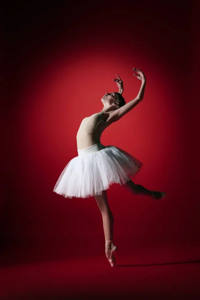 Bailarina. Jovem dançarina de balé graciosa dançando no vermelho studioskill. Beleza de balé clássico . — Fotografia de Stock