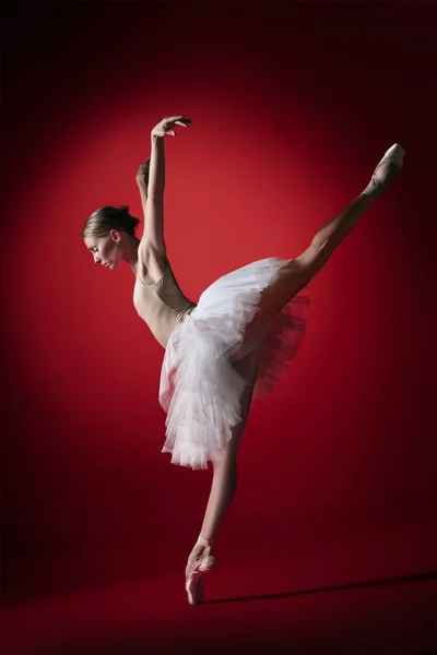 Bailarina. Jovem dançarina de balé graciosa dançando no vermelho studioskill. Beleza de balé clássico . — Fotografia de Stock