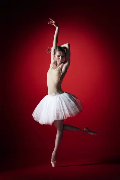 Μπαλαρίνα. Νέοι χαριτωμένο θηλυκό μπαλέτου χορευτής χορεύουν στο κόκκινο studioskill. Ομορφιά του κλασικού μπαλέτου. — Φωτογραφία Αρχείου
