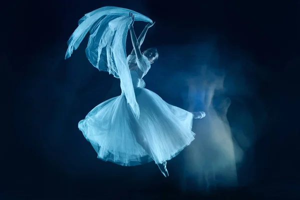 Photo comme art - une danse sensuelle et émotionnelle de la belle ballerine à travers le voile — Photo