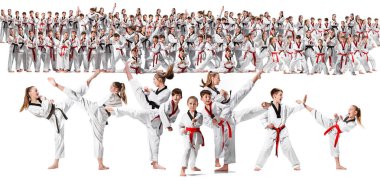 Kolaj karate dövüş sanatları eğitim çocuklar grup hakkında