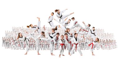 Kolaj karate dövüş sanatları eğitim çocuklar grup hakkında
