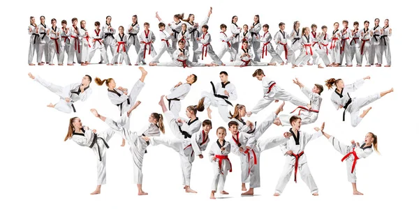 Il collage su un gruppo di bambini che allenano le arti marziali di karate — Foto Stock