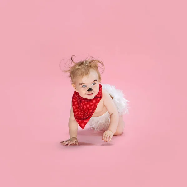 Pasgeboren babymeisje draagt een Halloween kostuum — Stockfoto