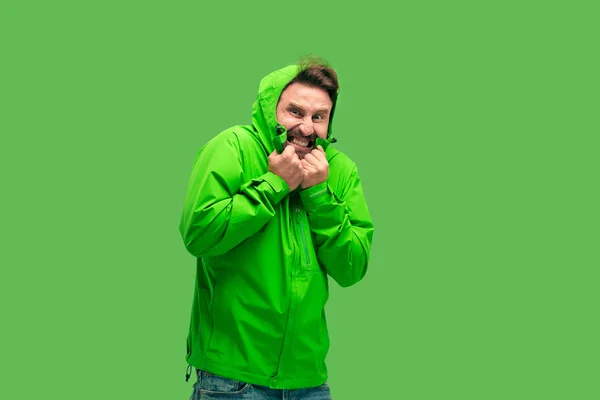 Handsome bearded young man looking at camera isolated on green — Stock Photo, Image