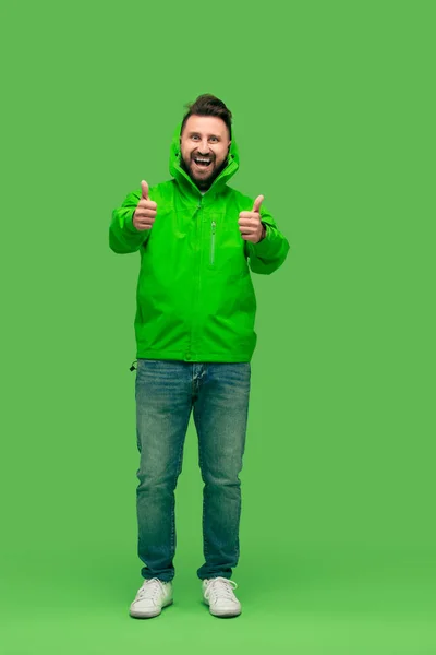 Handsome bearded young man looking at camera isolated on green — Stock Photo, Image