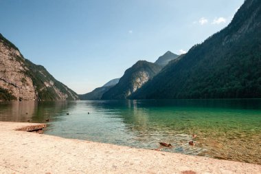 Konigssee derin yeşil suları çarpıcı, Almanya en derin ve en temiz Gölü bilinen