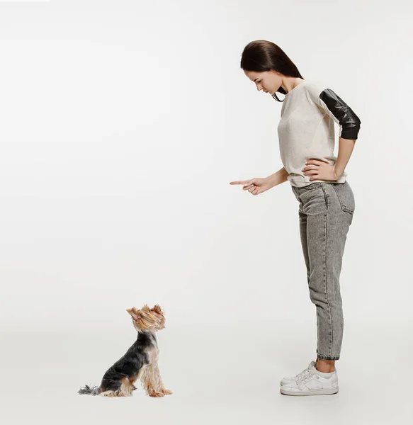 Mulher com seu cão na trela sobre fundo branco — Fotografia de Stock