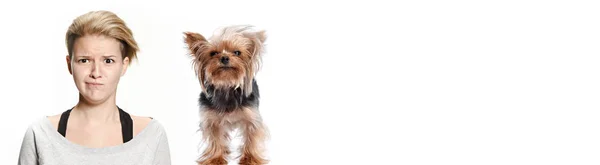 Забавная Женщина Собака Сожалением Смотрят Белом Фоне Йоркширский Терьер Студии — стоковое фото