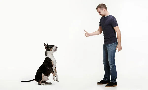 Retrato emocional de um homem e seu cão Bull Terrier, conceito de amizade e cuidado de homem e animal — Fotografia de Stock