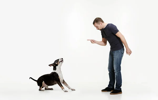 Retrato emocional de um homem e seu cão Bull Terrier, conceito de amizade e cuidado de homem e animal — Fotografia de Stock