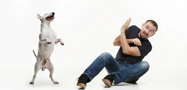 Retrato emocional de um homem e seu cão Bull Terrier, conceito de amizade e cuidado de homem e animal — Fotografia de Stock