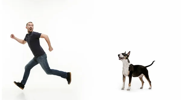 Retrato emocional de um homem e seu cão Bull Terrier, conceito de amizade e cuidado de homem e animal — Fotografia de Stock