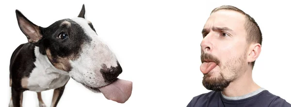 Retrato emocional de um homem e seu cão Bull Terrier, conceito de amizade e cuidado de homem e animal — Fotografia de Stock