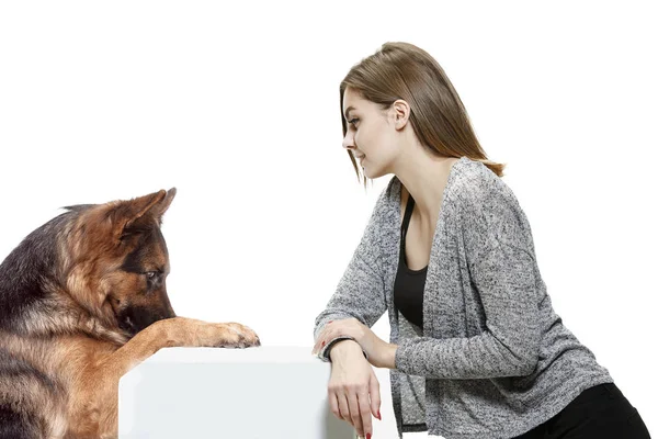 Woman with her dog over white background — Stock Photo, Image