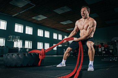 Gömleksiz adam ağır lastik spor salonunda saygısız