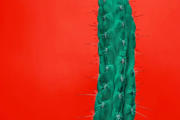 Cactus Fashion Set Design. Minimal Stillife. Trendy Bright Colors.