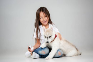 Sibirya husky köpek yavrusu ile eğleniyor stüdyoda yerdeki bir neşeli kız portresi