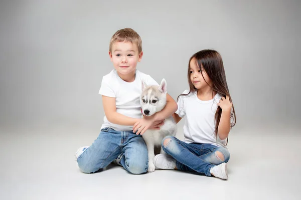 Portrait of a joyful little girl and boy having fun with siberian husky puppy on the floor at studio — Stock Photo, Image