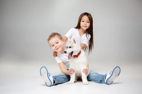 Portrait of a joyful little girl and boy having fun with siberian husky puppy on the floor at studio — Stock Photo, Image
