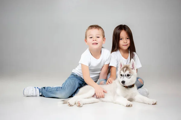 Portrait d'une joyeuse petite fille et d'un garçon s'amusant avec un chiot husky sibérien par terre au studio — Photo