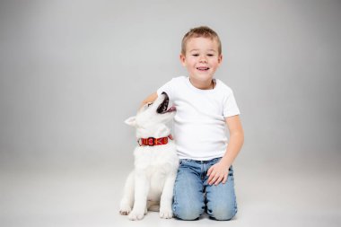 Eğleniyor Sibirya husky köpek yavrusu ile stüdyoda yerdeki küçük neşeli bir çocuk portresi
