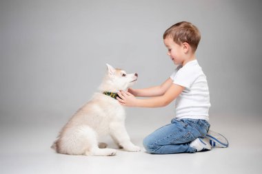 Eğleniyor Sibirya husky köpek yavrusu ile stüdyoda yerdeki küçük neşeli bir çocuk portresi