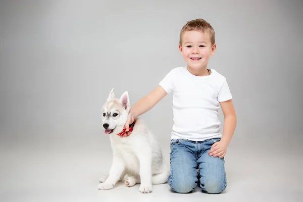 Portrait of a joyful little boy having fun with siberian husky puppy on the floor at studio — Stock Photo, Image