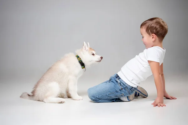 Портрет радостного маленького мальчика, веселящегося с сибирским щенком на полу в студии — стоковое фото