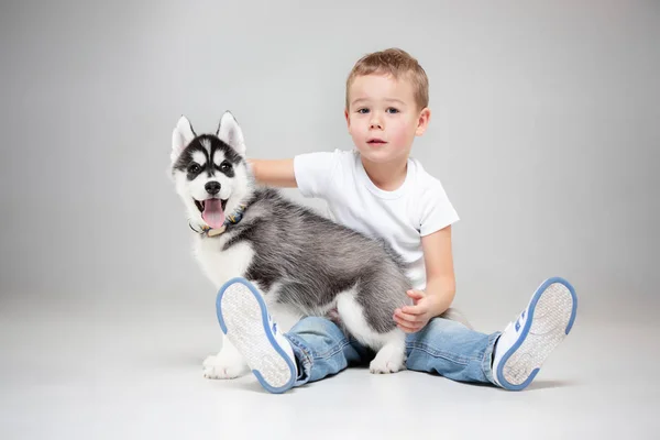 Portrait d'un petit garçon joyeux s'amusant avec un chiot husky sibérien sur le sol au studio — Photo