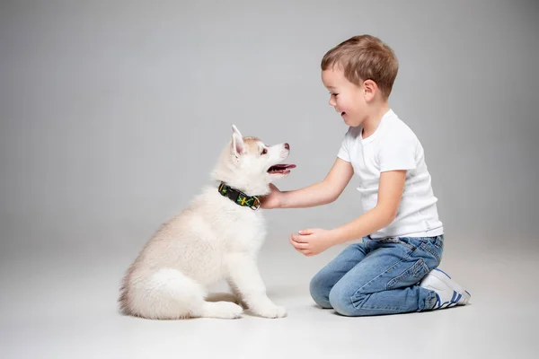 Портрет радостного маленького мальчика, веселящегося с сибирским щенком на полу в студии — стоковое фото
