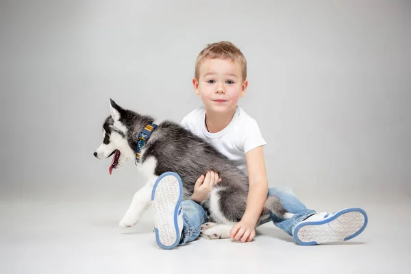 Portrait d'un petit garçon joyeux s'amusant avec un chiot husky sibérien sur le sol au studio — Photo
