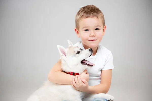 Portrait of a joyful little boy having fun with siberian husky puppy on the floor at studio — Stock Photo, Image