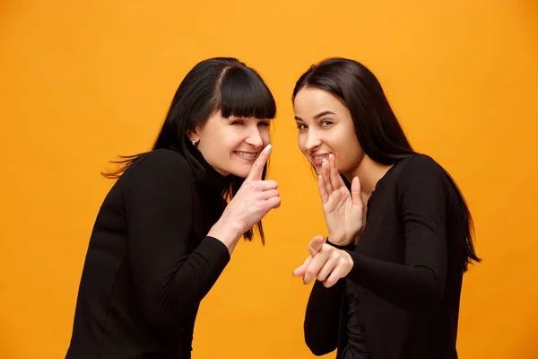 Een portret van een gelukkige moeder en dochter — Stockfoto