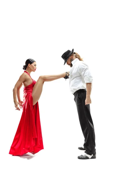 Portret van jonge elegantie tango dansers. geïsoleerd op witte achtergrond — Stockfoto