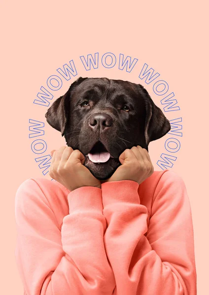 Contemporary art collage or portrait of surprised dog headed woman. Modern style pop art zine culture concept. — Stock Photo, Image