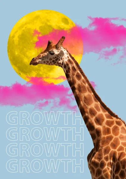 Giraffe head. Concept of growth, start up, business concepts. — Stock Photo, Image